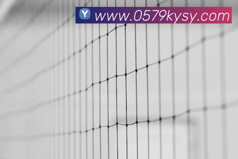 世界杯官网登录app平台生态图