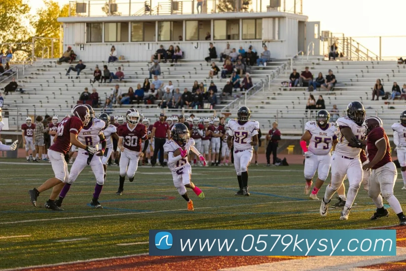 世界杯官网登录appAPP 封面图